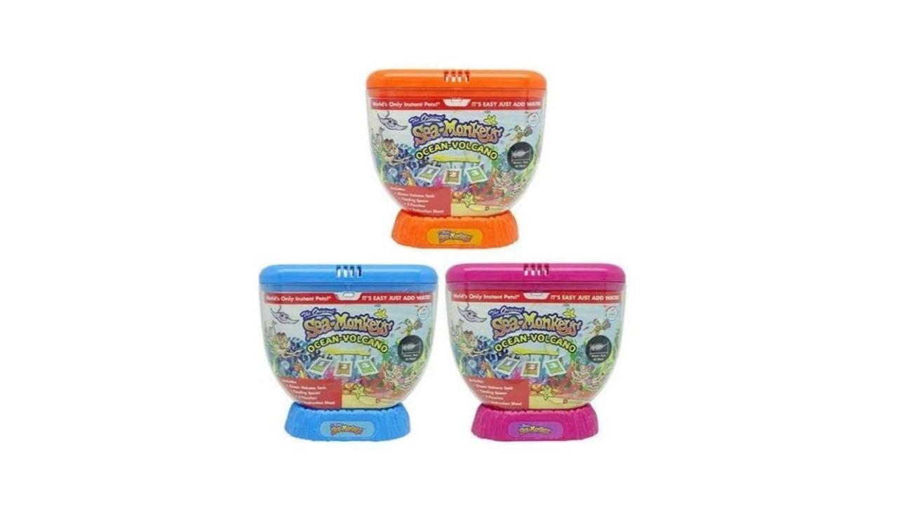 Sea Monkeys Assorted Style Ocean Volcano