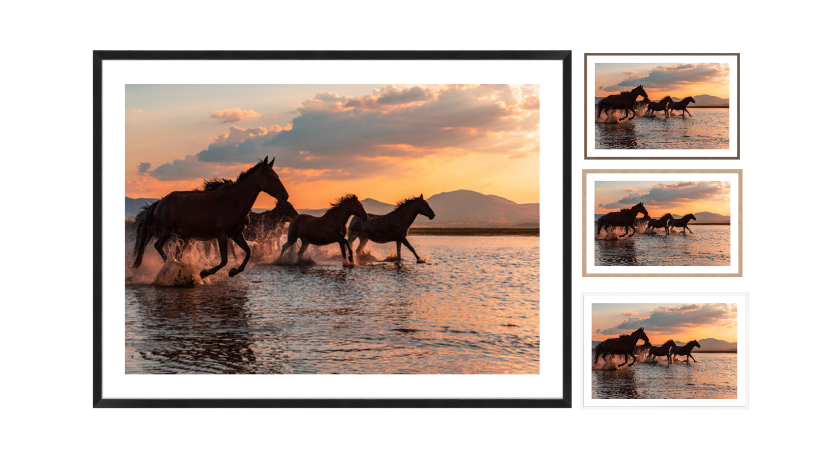 La Grolla Water Horses Frame Wall Art