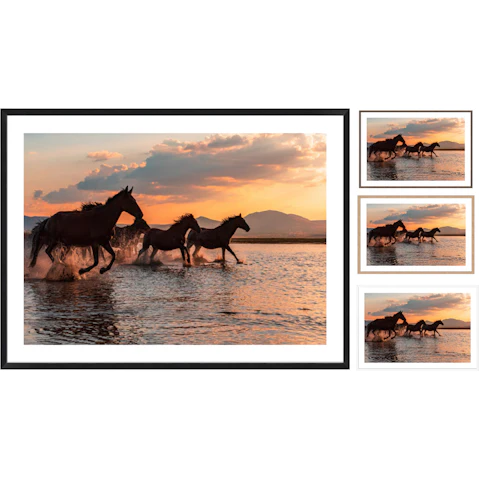 La Grolla Water Horses Frame Wall Art
