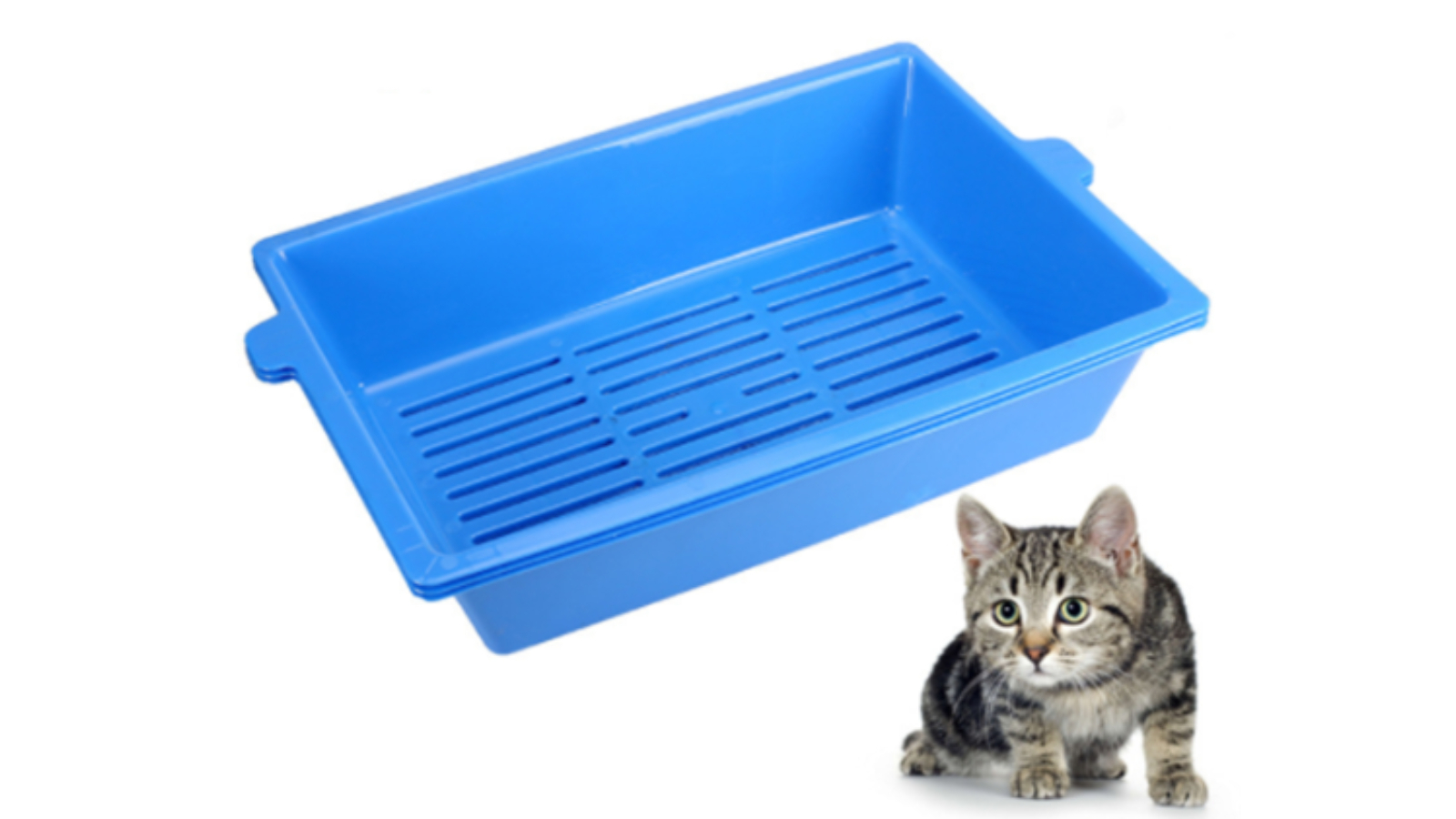 YES4PETS Lift and Sift Self Cleaning Cat Litter Slotted Tray Harvey