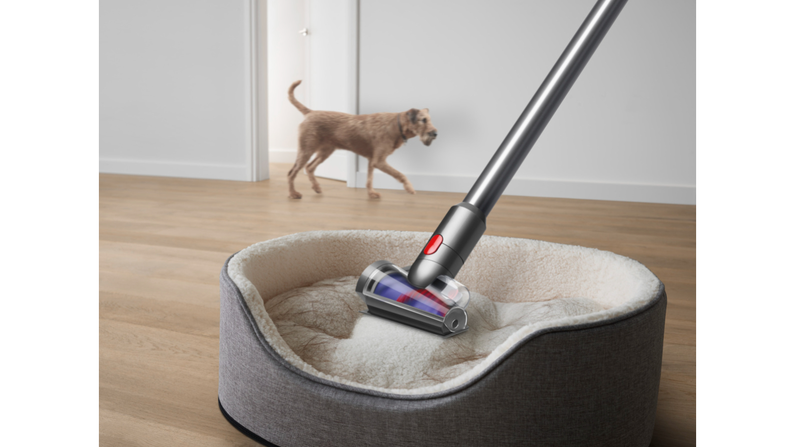 Dyson V12 Detect Slim Absolute Stick Vacuum Harvey Norman