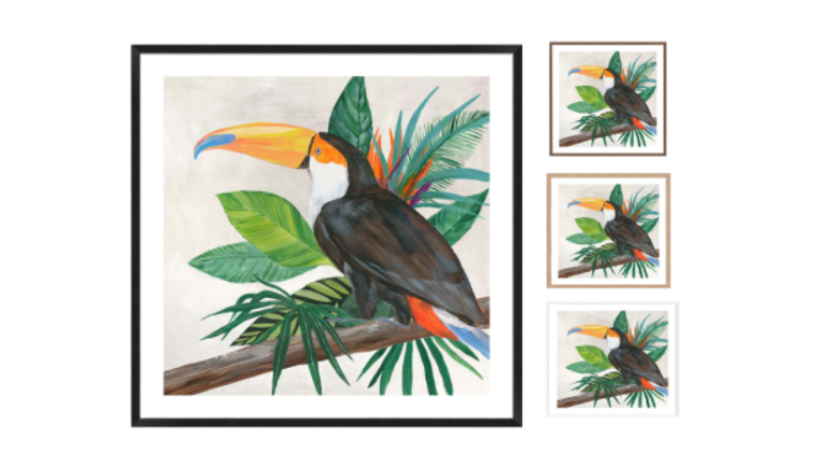La Grolla Tropical Birds II Frame Wall Art