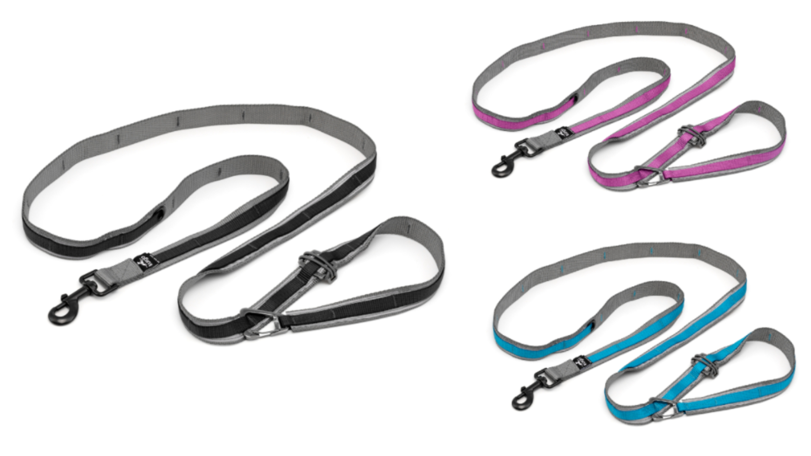 Kurgo Quantum Leash 2.0