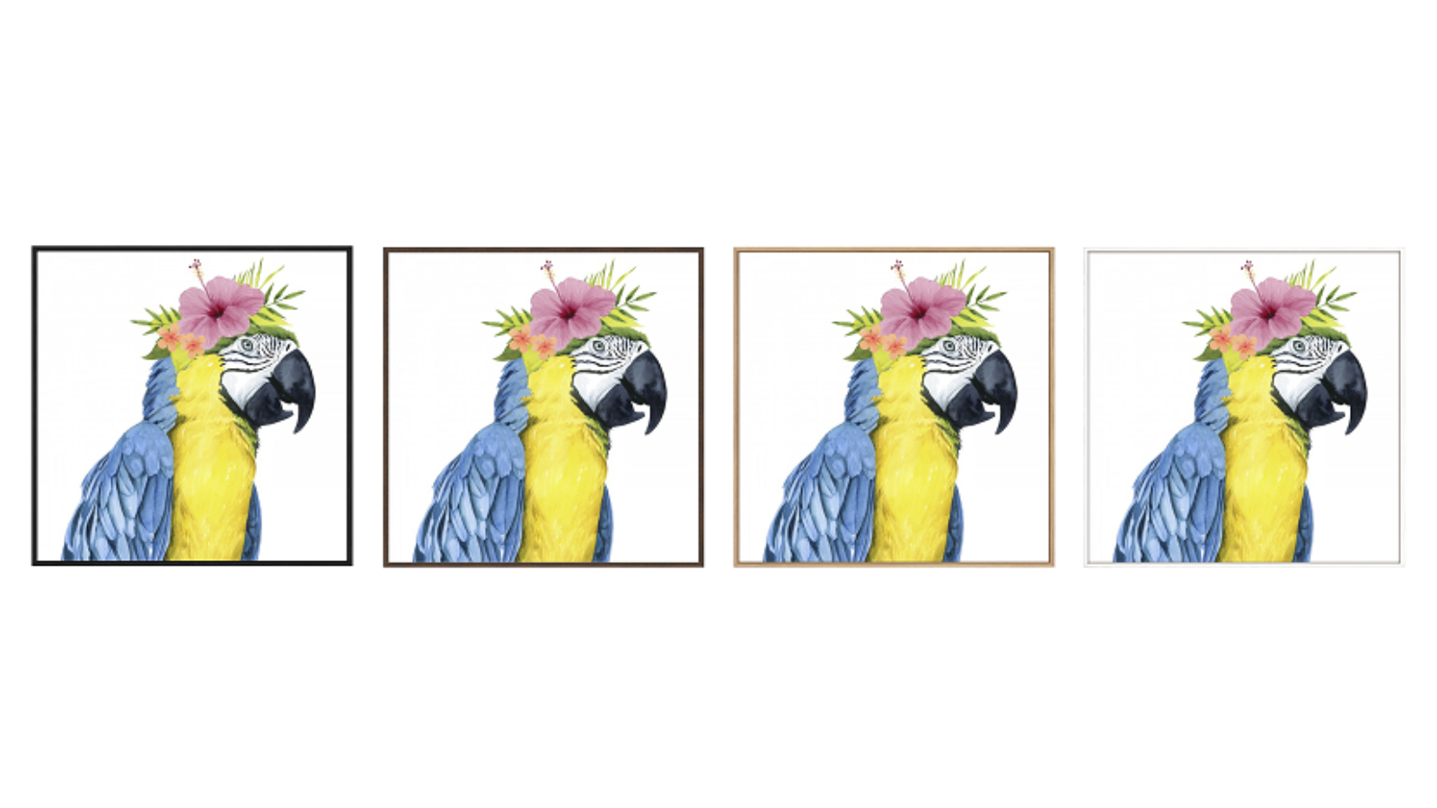La Grolla Tropical Halo II Gallery Wall Art