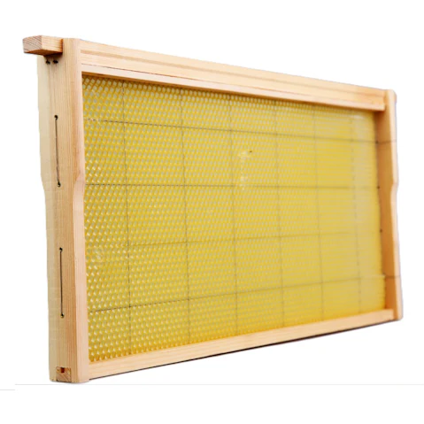 AUPK 20 Piece Beehive Frames with Wax Foundation