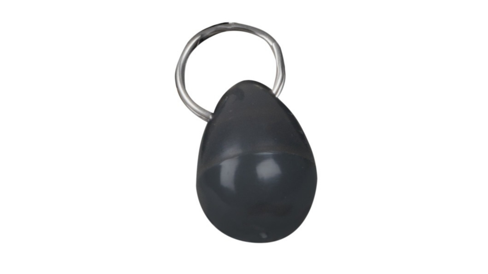 Petsafe Magnetic Collar Key