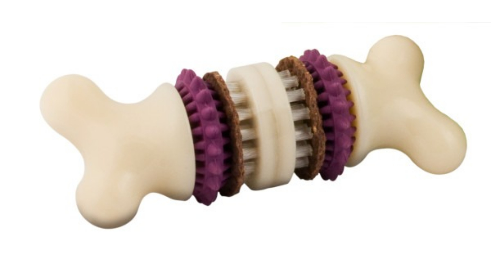 Petsafe Medium Busy Buddy Bristle Bone