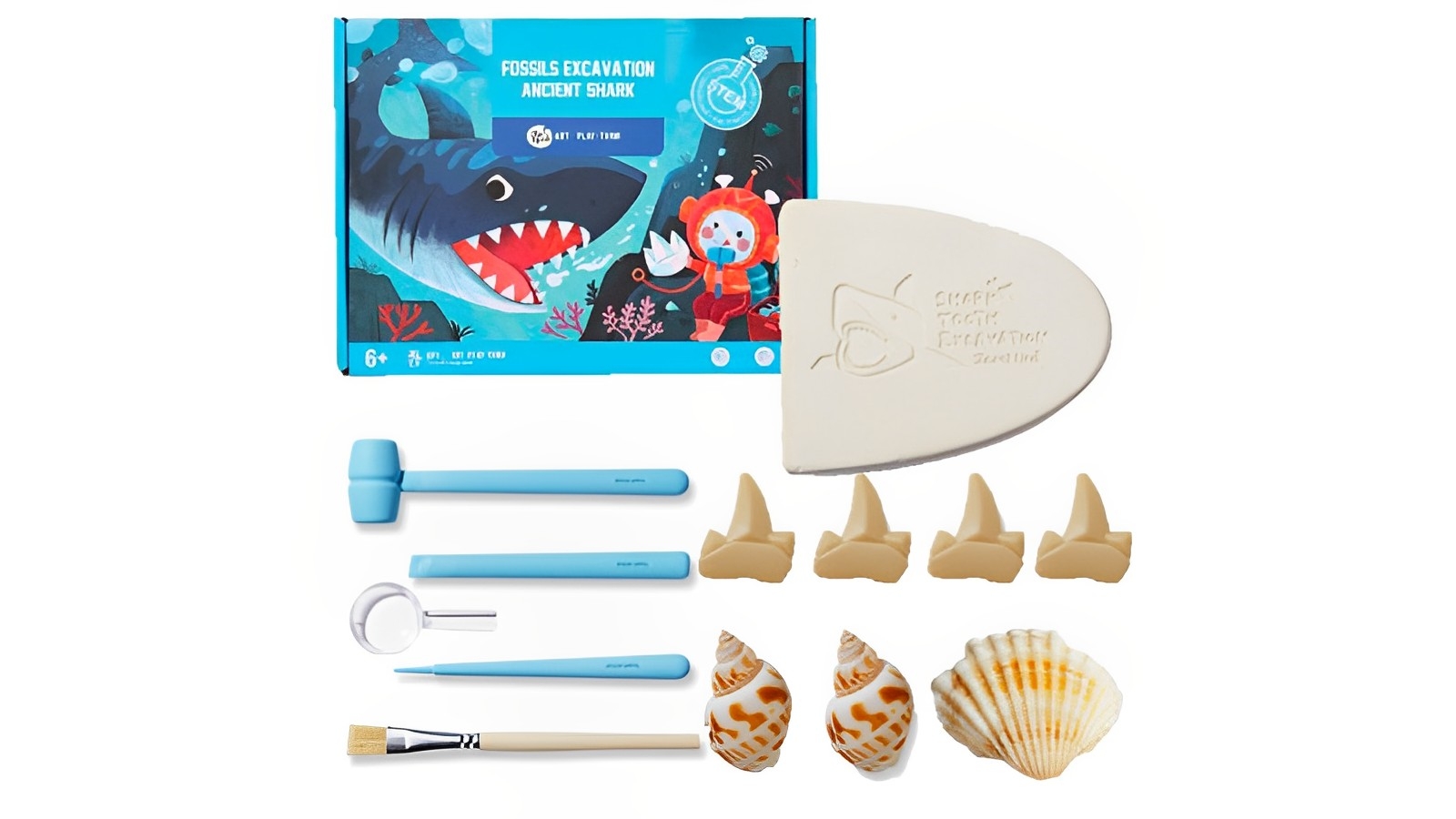 Jar Melo Shark Fossils Excavation Kit