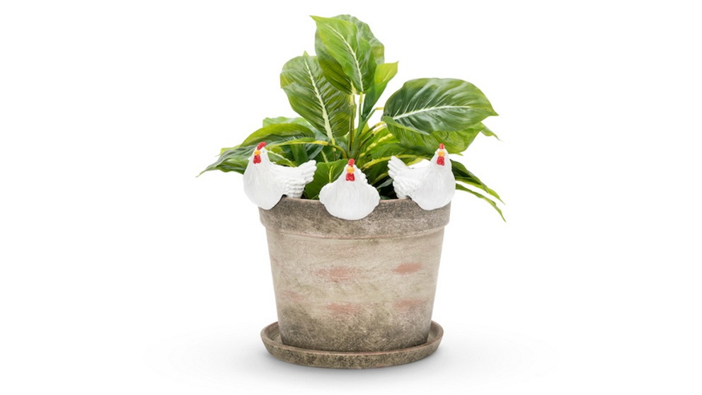 Pack of 3 Assorted 10cm Chicken Pot/Planter Sitter Garden Ornament - White