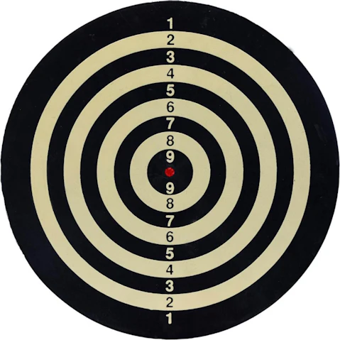 Harrows 2-in-1 Family/Kid Dart Game Board Sports Dartboard Target with Dart Pins