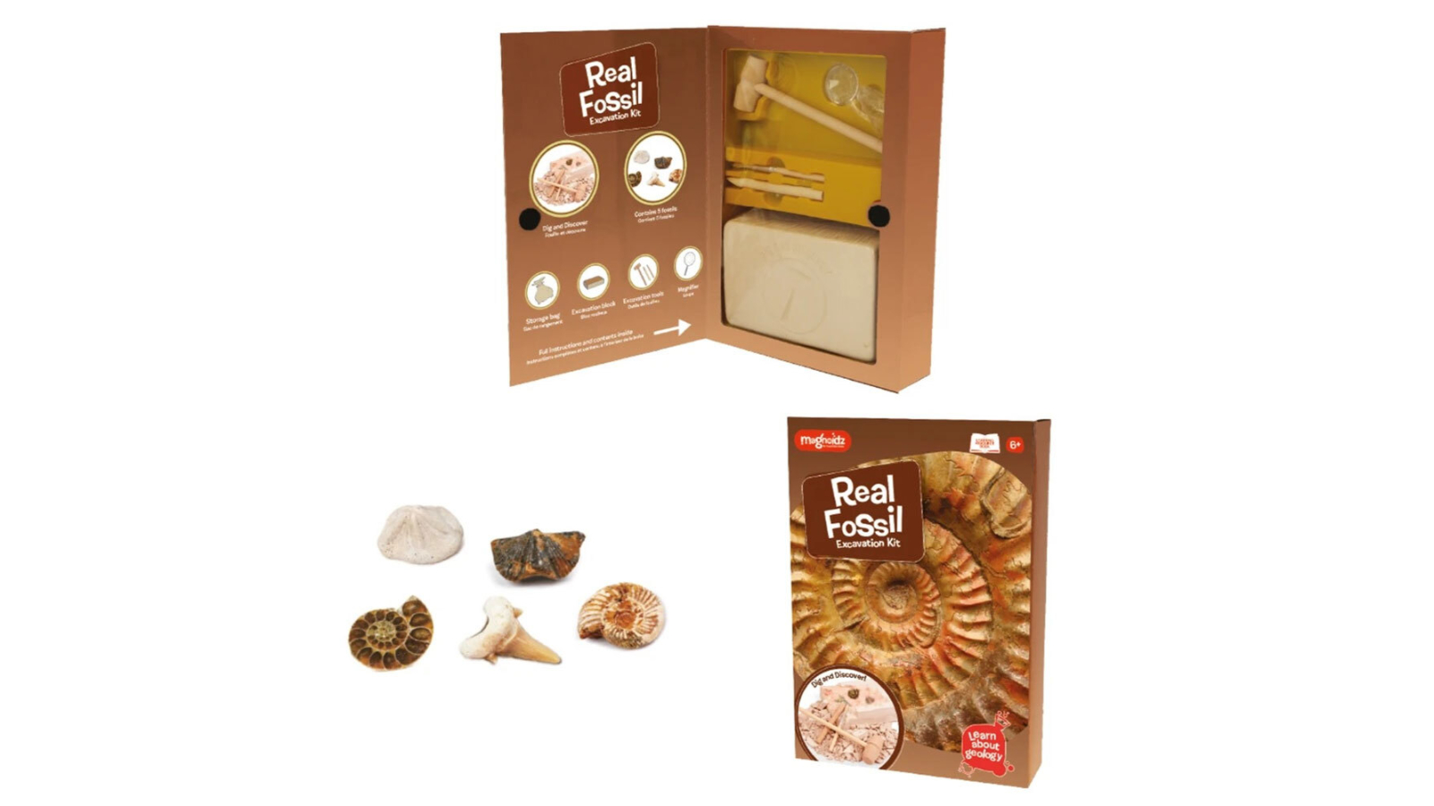 Magnoidz Kids Educational Science Paleontology Toy - 6year+
