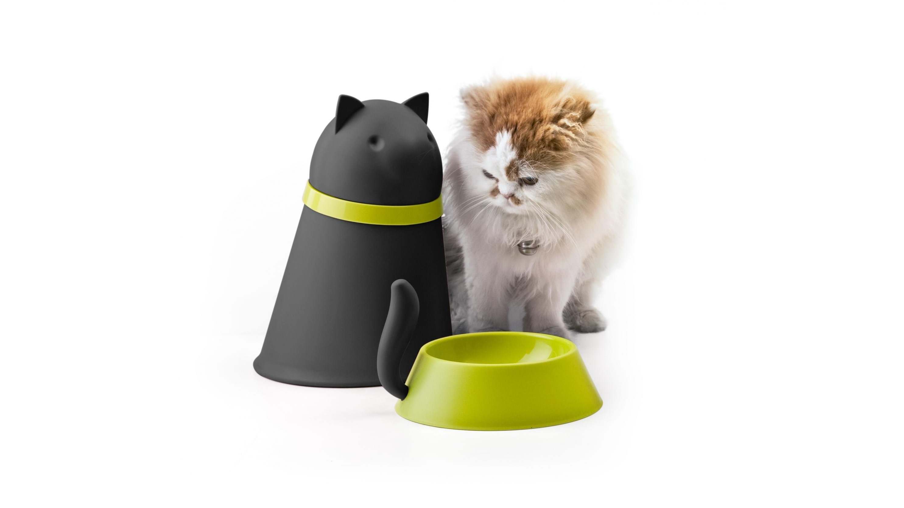 Qualy Kitt Pet Bowl with Storage - Black