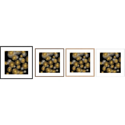 La Grolla Flourish in Gold and Silver Frame Wall Art