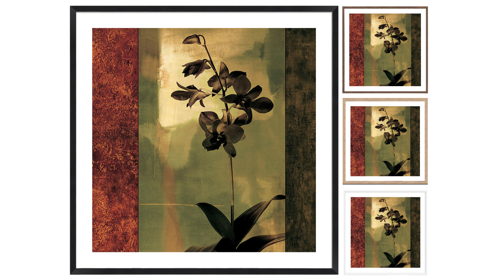 La Grolla Mesmerized II Frame Wall Art