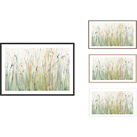 La Grolla Spring Grasses I Frame Wall Art