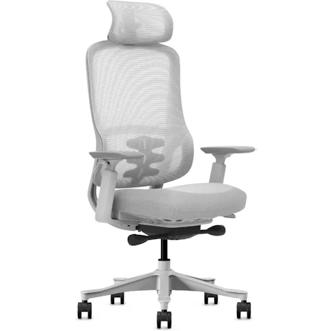 Lifespan Fitness DM8 Ergonomic Office Desk Chair - White/Grey