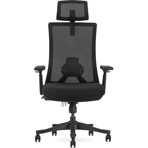 Lifespan Fitness DM9 Ergonomic Mesh High Back Office Chair