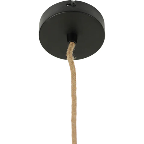 Lexi Lighting Winslow Wine Grass Pendant Light