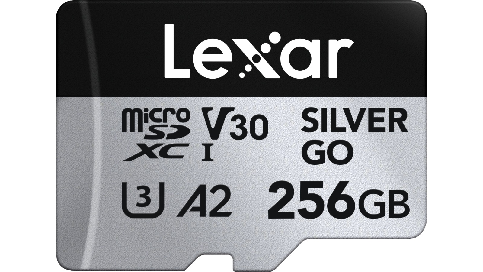 Lexar Professional SILVER GO 256GB microSDXC UHS-I Memory Card