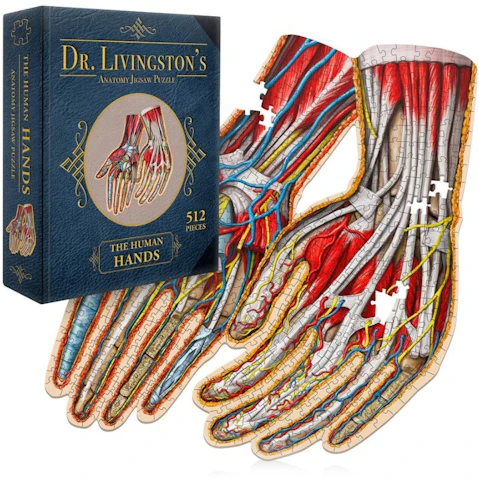 Genius Games Dr. Livingston's Anatomy Jigsaw Puzzle - the Human Hands