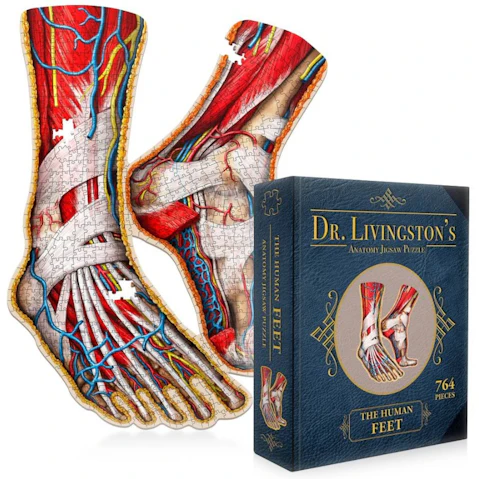 Genius Games Dr. Livingston's Anatomy Jigsaw Puzzle - the Human Feet
