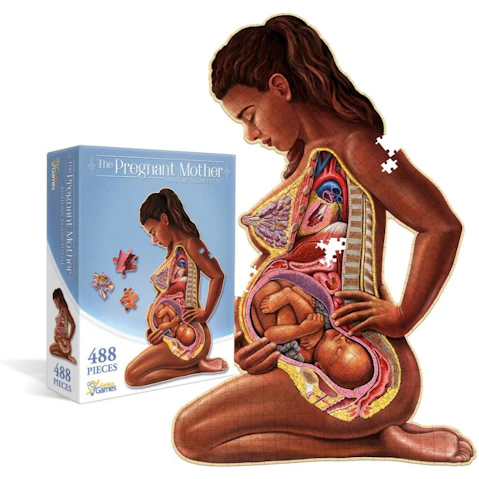 Genius Games Anatomy Floor Puzzle - Pregnant Mother