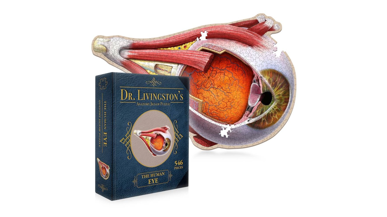 Genius Games Dr. Livingston's Anatomy Jigsaw Puzzle - the Human Eye