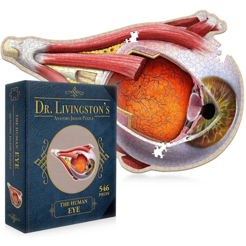 Genius Games Dr. Livingston's Anatomy Jigsaw Puzzle - the Human Eye