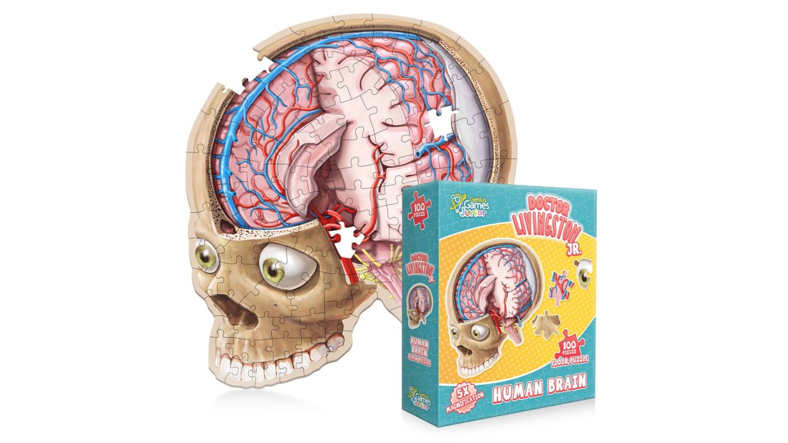 Genius Games Dr. Livingston Jr. Floor Puzzle - Brain