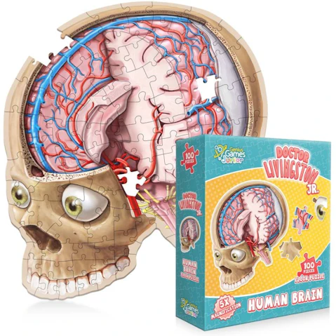 Genius Games Dr. Livingston Jr. Floor Puzzle - Brain