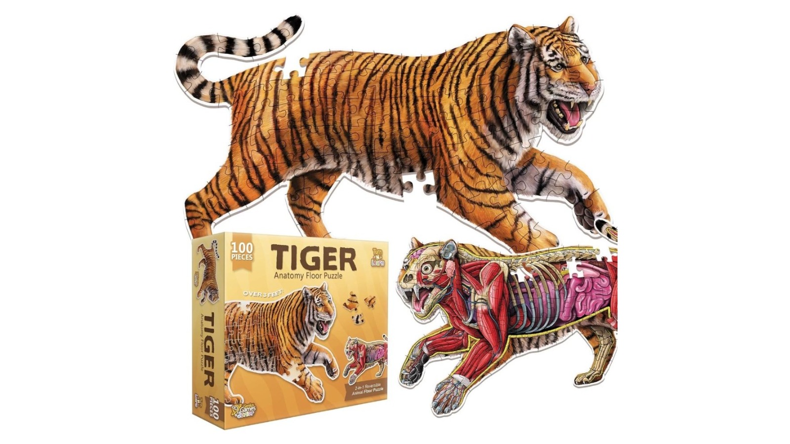 Genius Games Anatomy Floor Puzzle - Tiger