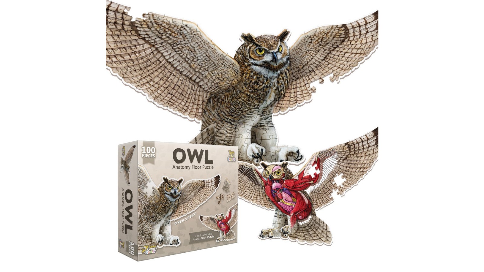 Genius Games Anatomy Floor Puzzle - Owl