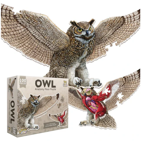Genius Games Anatomy Floor Puzzle - Owl