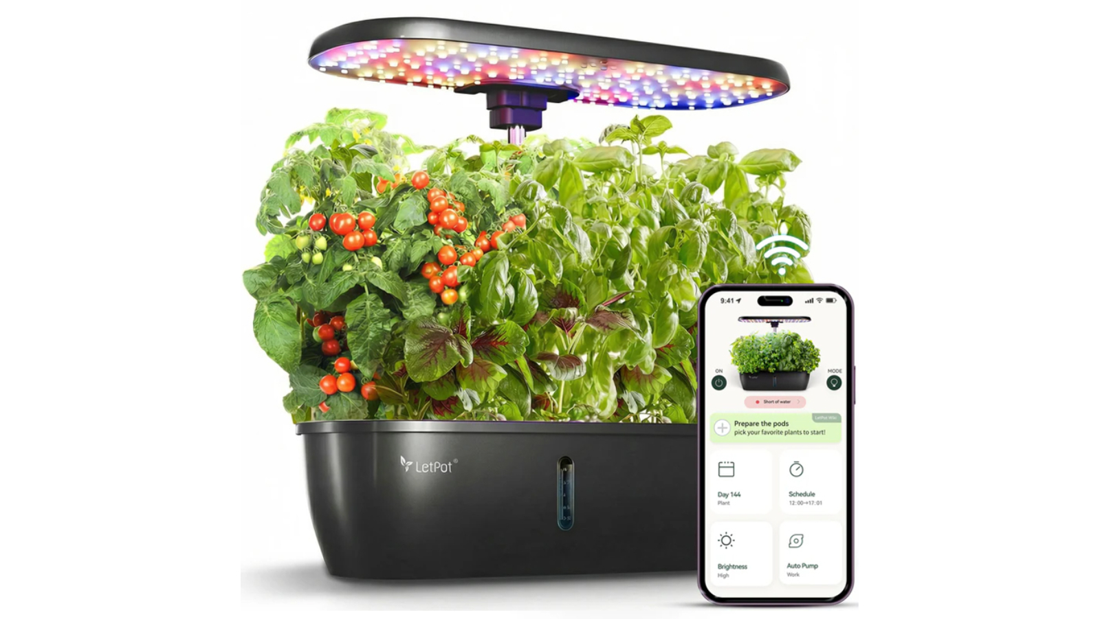LetPot Lite 12-Pod Smart Indoor Garden Hydroponic System - Black