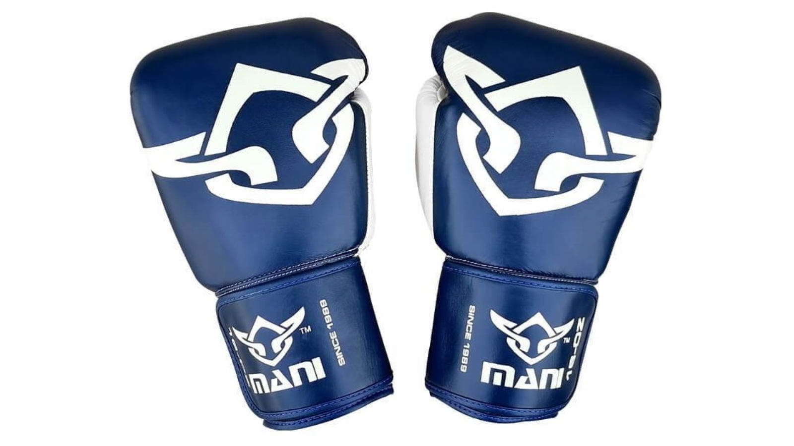Mani Sports Muay Thai Boxing Gloves Blue