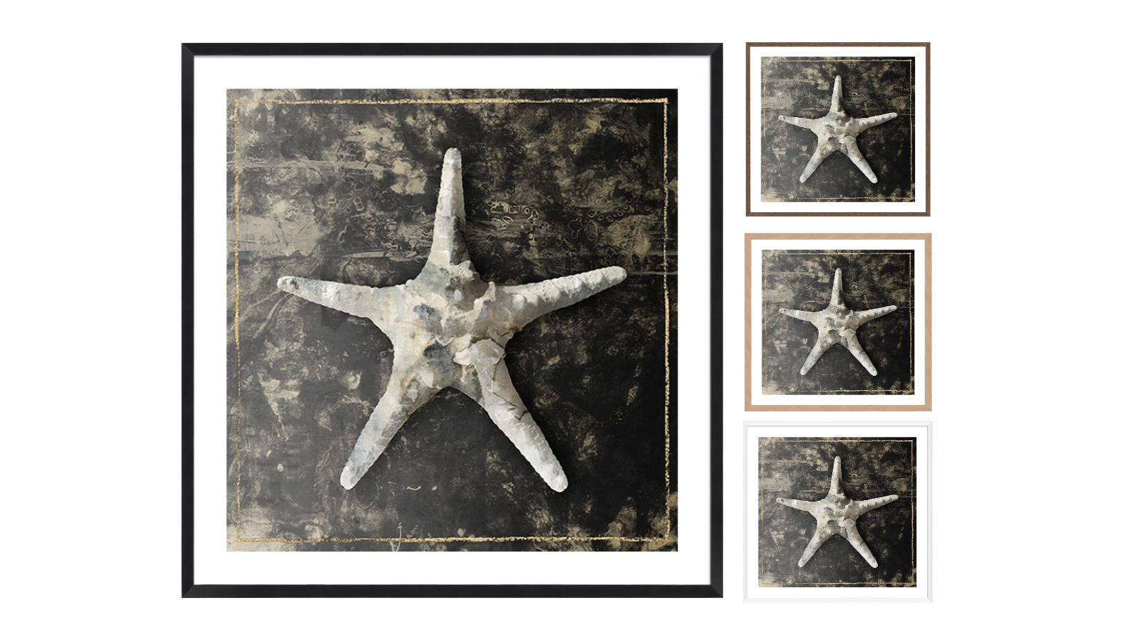 La Grolla Marble Shell Series III Frame Wall Art
