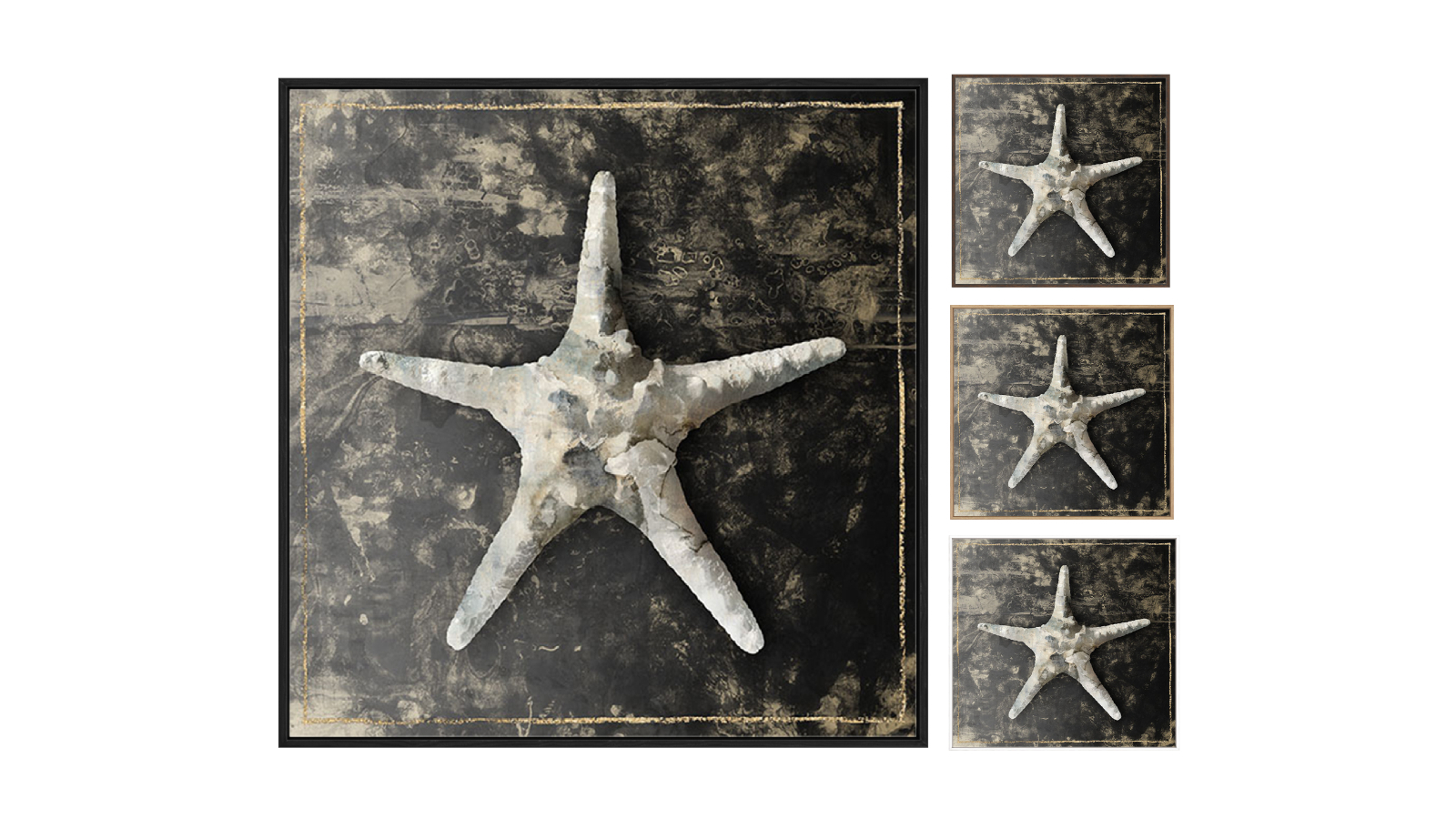 La Grolla Marble Shell Series III Gallery Wall Art