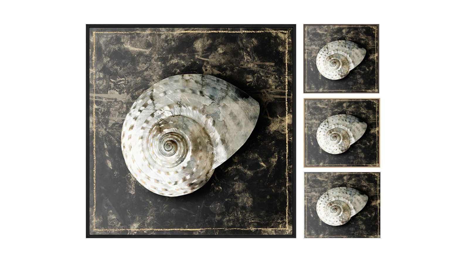 La Grolla Marble Shell Series II Gallery Wall Art