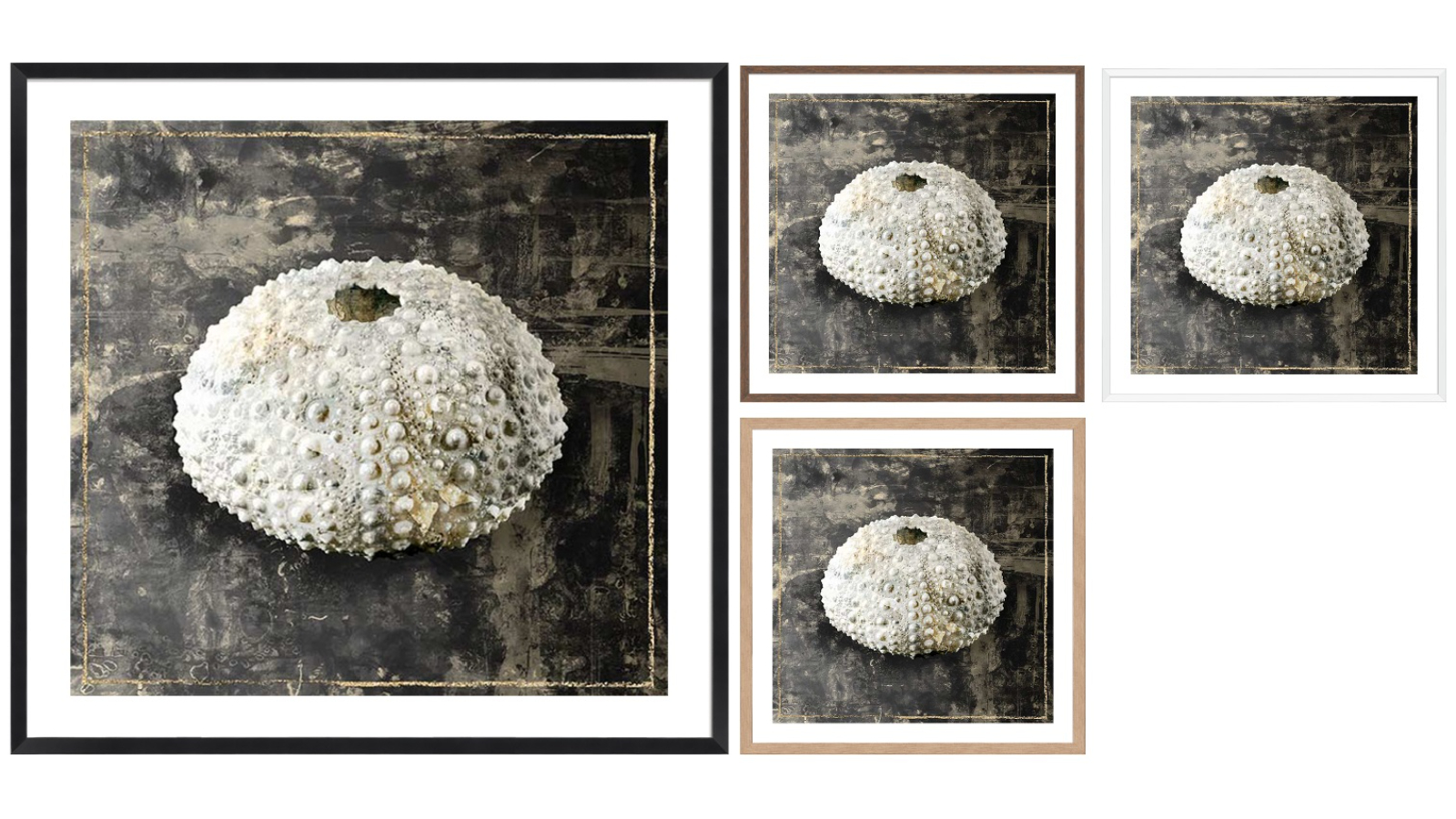 La Grolla Marble Shell Series I Frame Wall Art