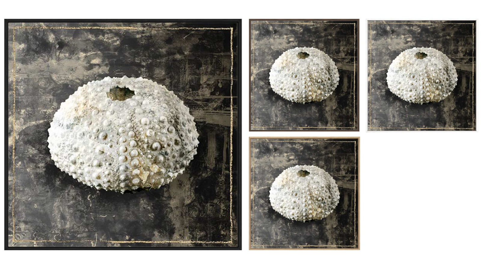La Grolla Marble Shell Series I Gallery Wall Art