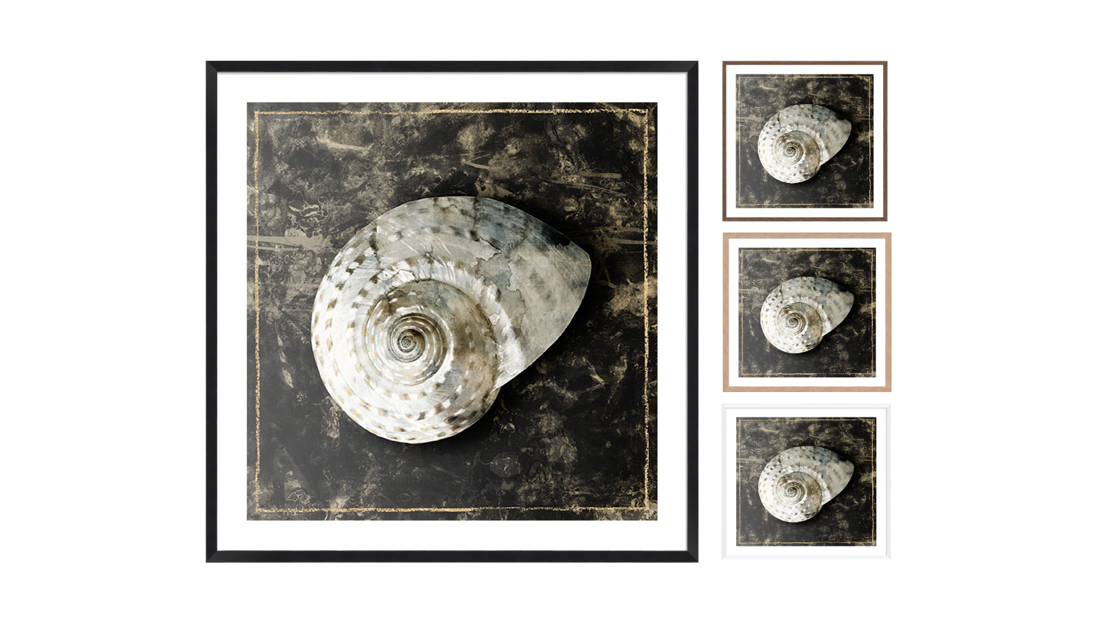 La Grolla Marble Shell Series II Frame Wall Art