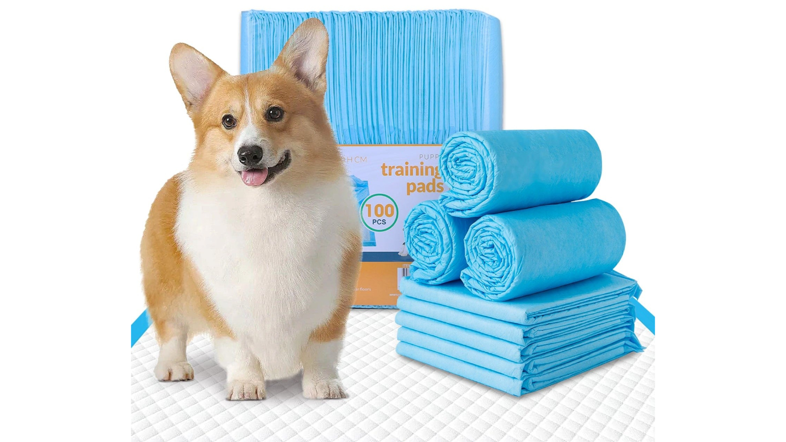 Living Today 100 Piece Dog Absorbent Training Pad - 60 x 60 cm