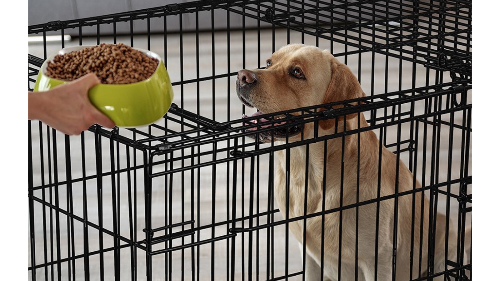 Beastie 24 inch Dog Cage Pet Crate Harvey Norman