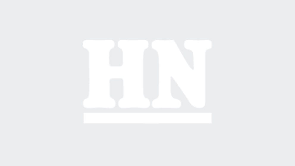 Leather office chair harvey norman Clearance