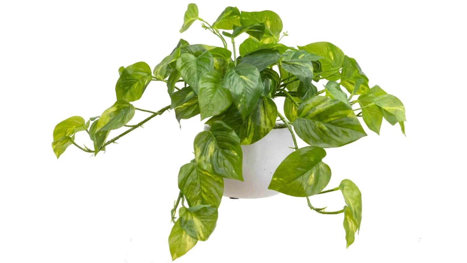 Glamorous Fusion 30cm Pothos Artificial Fake Plant Flower In Pot