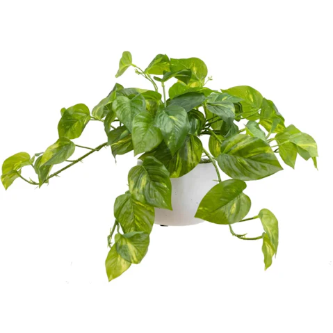 Glamorous Fusion 30cm Pothos Artificial Fake Plant Flower In Pot