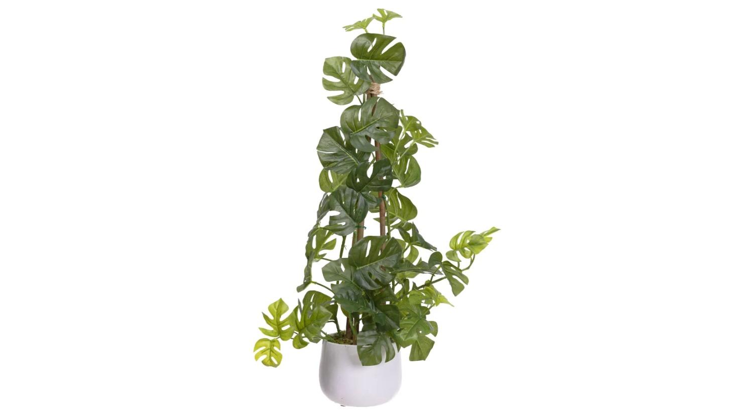 Glamorous Fusion Green Climbing Sellum Philo Artificial Plant - 62cm