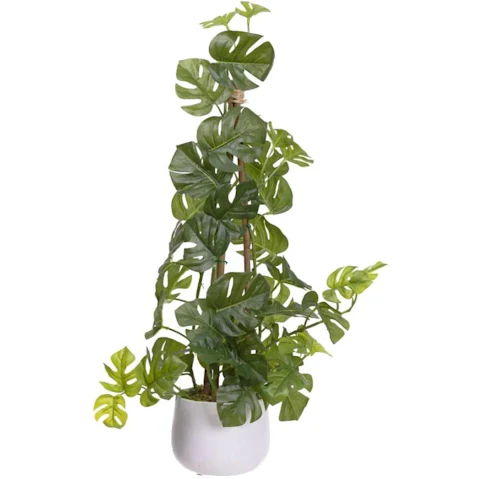 Glamorous Fusion Green Climbing Sellum Philo Artificial Plant - 62cm