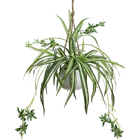 Glamorous Fusion 68cm Spider Plant Artificial Fake Plant in Hanging Planter