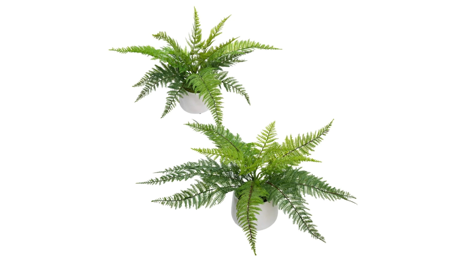 Glamorous Fusion set of 2 Green Leather Fern Artificial Fake Plant